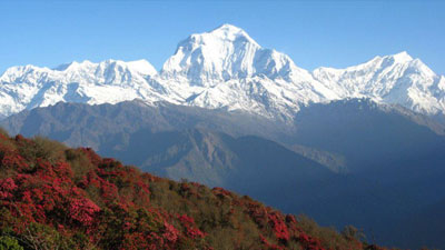 Pokhara Ghorepani Trek