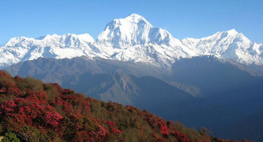 Pokhara Ghorepani Trek
