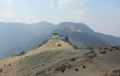 Highlights of Druk Bhutan tour