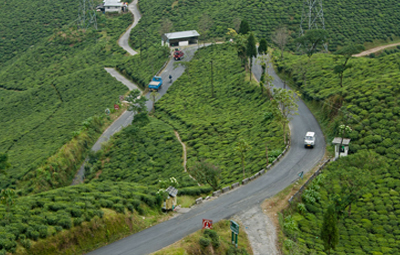 Siliguri Mirik Darjeeling Tour